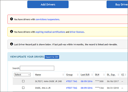 screenshot of application template